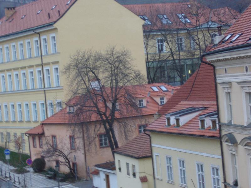 P1020283.JPG