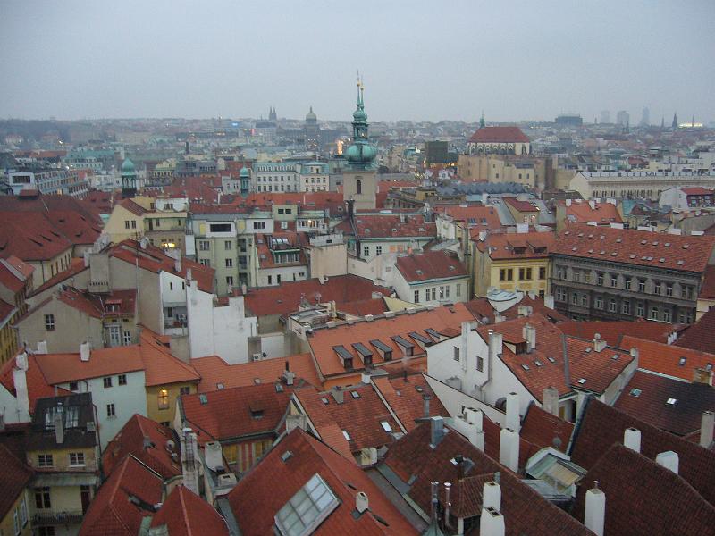 P1020290.JPG