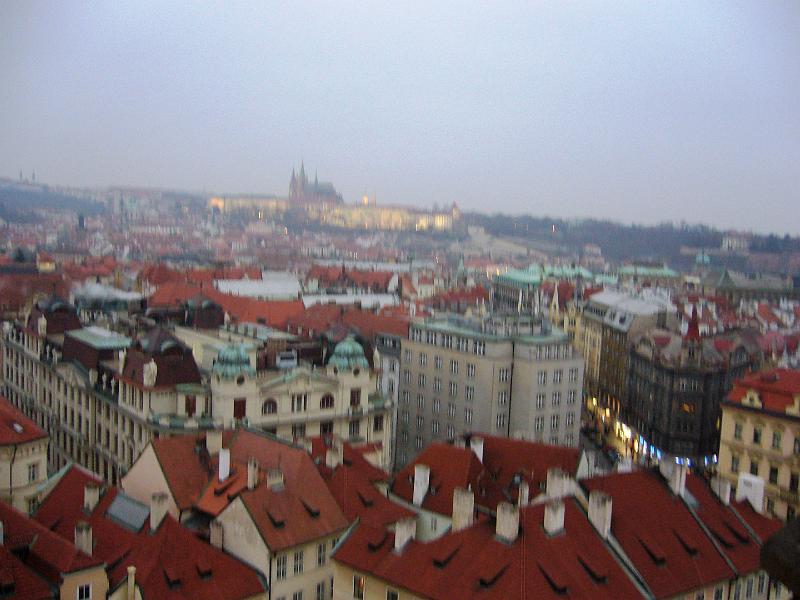P1020295.JPG